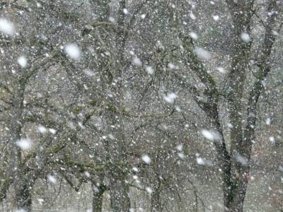 Синоптики предупредили о сильных дождях и мокром снеге в Карпатах