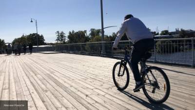 Петербург начал сотрудничать со Стокгольмом по вопросам велоинфраструктуры