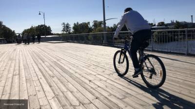 Петербург ориентируется на опыт Стокгольма в развитии велоинфраструктуры