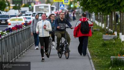 Власти Петербурга создадут инфраструктуру для развития велодвижения