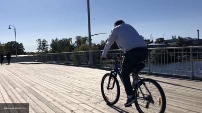 Власти Петербурга поделились планами о развитии велоинфраструктуры