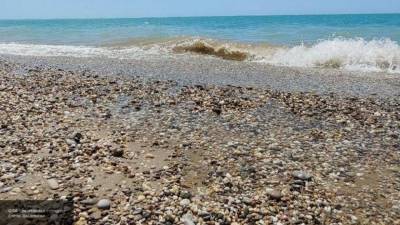 Прокуратура Крыма проверит отравление девочки алкоголем на местном пляже