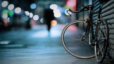 Петербург будет сотрудничать со Стокгольмом по вопросам велоинфраструктуры