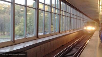 Поезд застрял в Московском метрополитене между станциями на зеленой ветке
