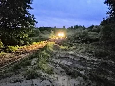 В Смоленской области в лесу пропал человек
