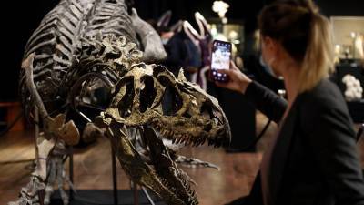 Три миллиона евро за скелет динозавра