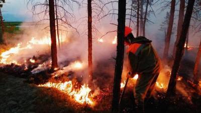Почти 40 лесных пожаров ликвидировали в России за сутки