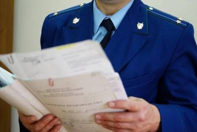 В Новосибирской области прокуратура обязала снести дома в лесу