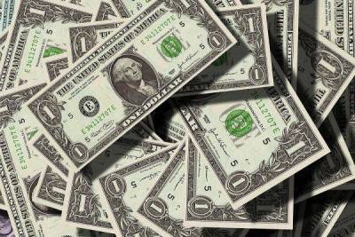 Доллары массово вывозят из России: рублю скоро станет плохо