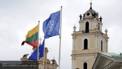 Литовский политик заявил об ущербе от антироссийской политики Вильнюса