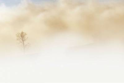 Резкое потепление и туманы придут в Новосибирск