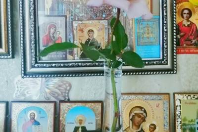 Православные Оренбуржья отмечают Покров день