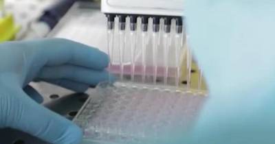 В РАН дали оценку ходу испытаний вакцины Центра Чумакова от COVID