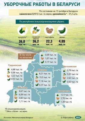 Урожай зерновых в Беларуси в этом году составит 10,3 млн т