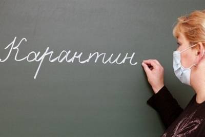 Эпидемические новости: в Чухломском районе Костромской области на карантин закрылись сразу две школы
