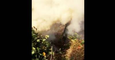 В Воронежской области разжигателей костров оштрафовали на 2 млн рублей