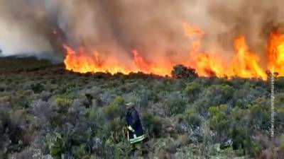 Сильнейший лесной пожар тушат на Килиманджаро