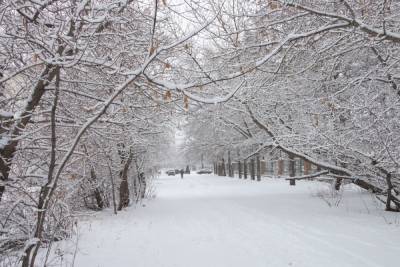 Синоптики рассказали, когда в Челябинской области ожидаются снегопады