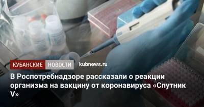 В Роспотребнадзоре рассказали о реакции организма на вакцину от коронавируса «Спутник V»