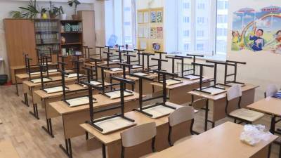 Собянин: младшие классы вернутся в школы, старшие классы переведут на дистанционку