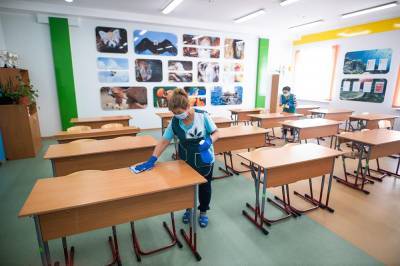 Власти Москвы переведут школьников 6-11 классов на дистанционное обучение