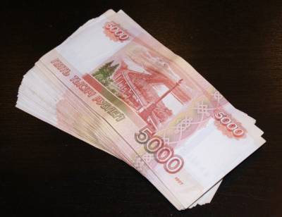 Директор петербургской компании лишилась 2 млн рублей из тайника