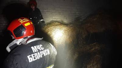 В Барановичском районе спасли от огня почти 150 т сена