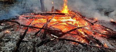 Лесники Челябинской области сообщили об осеннем пике природных пожаров
