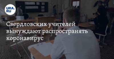 Свердловских учителей вынуждают распространять коронавирус. Подробности