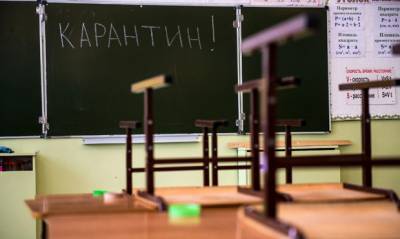 В Москве учащихся с 6 по 11 класс переведут на дистанционное обучение