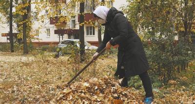 Кто должен убирать листья и ветки в липецких дворах?