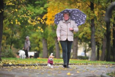 Кинологи посоветовали владельцам собак в пасмурную погоду надевать на них дождевики