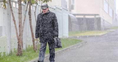 Мокрый снег ожидается в Москве в выходные