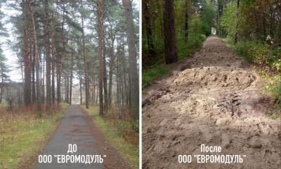 Жители Петрозаводска просят губернатора разобраться с подрядчиком, который изуродовал их парк