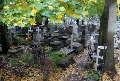 На кладбище в Петербурге повредили надгробие и похитили урну с прахом