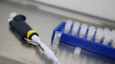 В России за сутки выявили более 14 тысяч случаев коронавируса