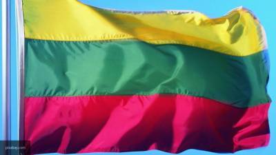 Литовский политик предложил изменить отношение Вильнюса к соседям