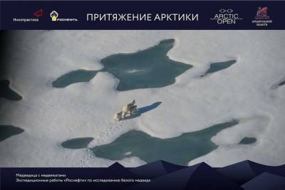 Фотовыставка об Арктике откроется в Архангельске