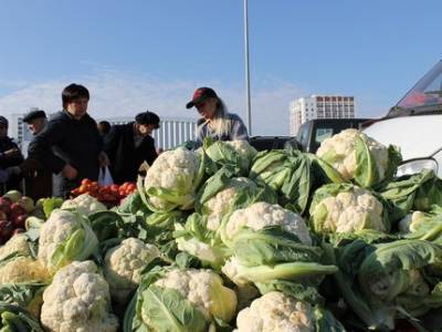 В Уфе пройдут ярмарки, где можно купить овощи от местных фермеров