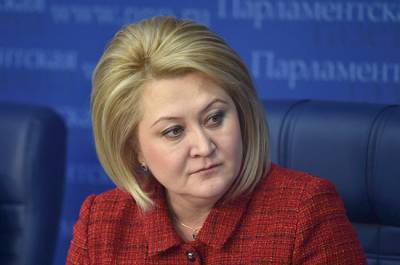 Гумерова назвала обеспечение информационной безопасности детей одним из приоритетов Совфеда