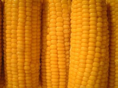 Мировые цены на кукурузу подбираются к трехлетнему пику
