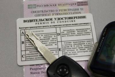 ГИБДД России сможет аннулировать права водителей