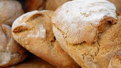 Волонтеры Петербурга чаще всего покупают своим подопечным хлеб и кефир
