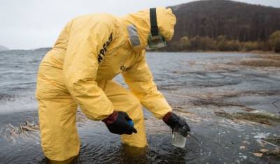 Российский Гринпис обнаружил в водах у Камчатки биопестициды, ртуть и тяжелые металлы