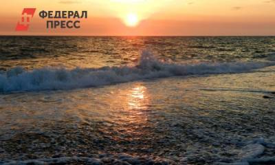 Российский Гринпис опубликовал результаты анализа воды на Камчатке