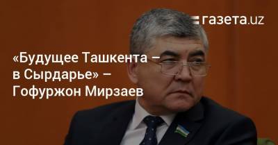 «Будущее Ташкента — в Сырдарье» — Гофуржон Мирзаев