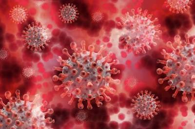 ФМБА запатентовало препарат для лечения коронавируса