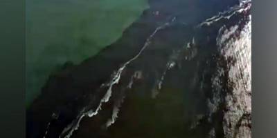 Видео Дудя о пятне в океане у берегов Камчатки оказалось снято в другом месте