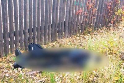 СК выяснит, кто мог остановить устроившего стрельбу в Нижегородской области