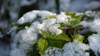 В Уфе назвали примерную дату первого снега